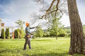 Best Stump Grinding and Removal  in Slater Marietta, SC