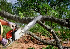 Best Storm Damage Tree Cleanup  in Slater Marietta, SC